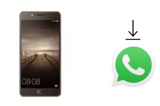 How to install WhatsApp in an Elephone P8 Mini