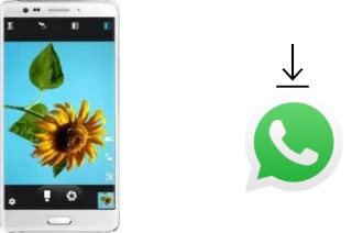 How to install WhatsApp in an Elephone P8 Pro