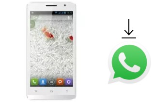 How to install WhatsApp in an Evercoss A26C