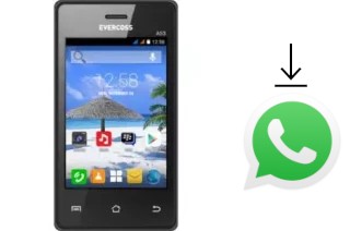 How to install WhatsApp in an Evercoss A53 Star