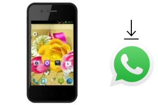 How to install WhatsApp in an Evercoss A53B