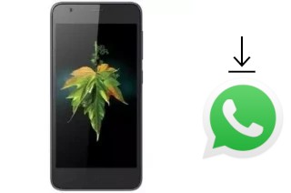 How to install WhatsApp in an Evertek EverSlim Nano