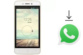 How to install WhatsApp in an Evertek M1 Mini