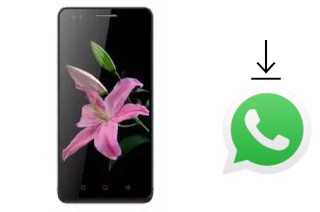 How to install WhatsApp in an Evolio S5