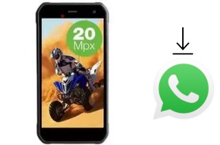 How to install WhatsApp in an Evolveo StrongPhone G8