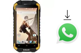 How to install WhatsApp in an Evolveo StrongPhone Q9