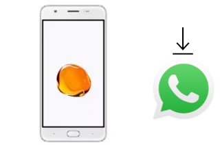 How to install WhatsApp in an ExMobile Chat 9 Max