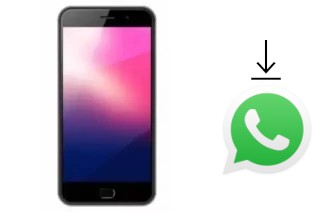 How to install WhatsApp in an ExMobile Chat 9