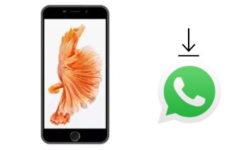 How to install WhatsApp in an ExMobile EX39I