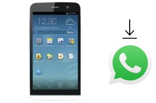 How to install WhatsApp in an Explay Flame