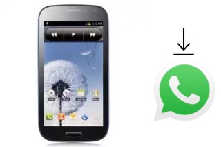 How to install WhatsApp in a Feiteng GT-I9300