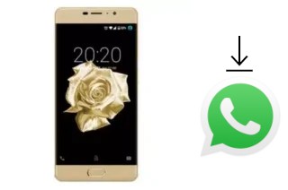 How to install WhatsApp in a Fero Royale X2