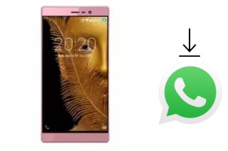 How to install WhatsApp in a Fero X1