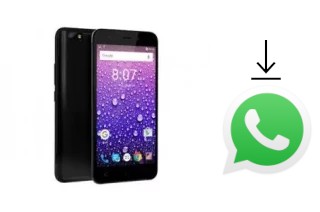 How to install WhatsApp in a Firefly AURII Amuse 4G