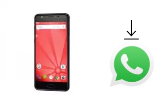 How to install WhatsApp in a Firefly AURII F8 Premium