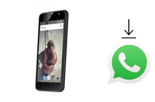 How to install WhatsApp in a Fly Knockout