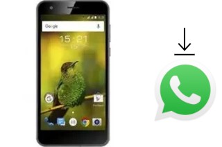 How to install WhatsApp in a Fly Power Plus XXL