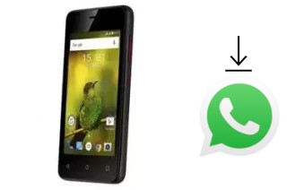 How to install WhatsApp in a Fly Stratus 8