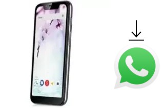 How to install WhatsApp in a Fly View