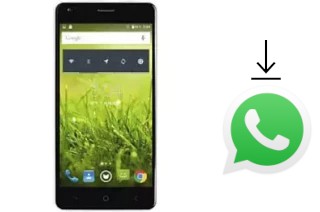 How to install WhatsApp in a Flycat Optimum 5001