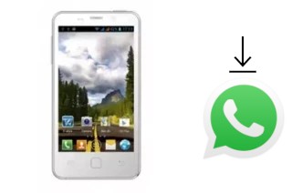 How to install WhatsApp in a FPT F10