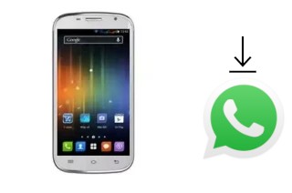 How to install WhatsApp in a FPT F80