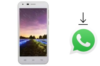 How to install WhatsApp in a FPT Life 5 Star