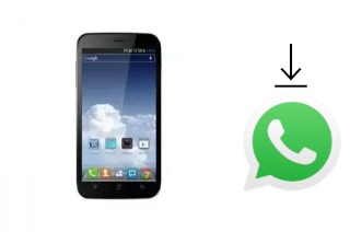 How to install WhatsApp in a FPT V