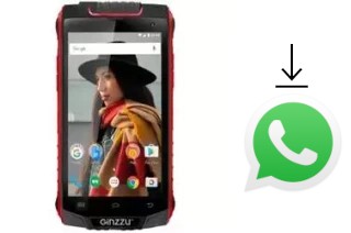 How to install WhatsApp in a Ginzzu RS8501