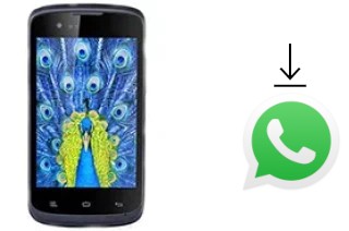 How to install WhatsApp in a Gionee Ctrl V1