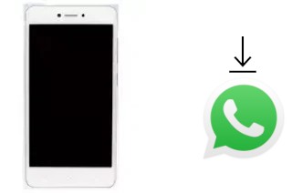 How to install WhatsApp in a Gionee F100