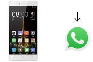 How to install WhatsApp in a Gionee F100L