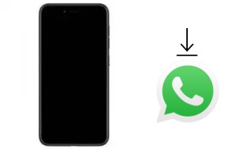 How to install WhatsApp in a Gionee F109