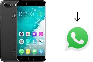 How to install WhatsApp in a Gionee S10