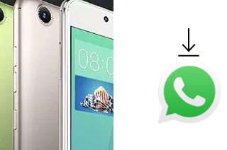 How to install WhatsApp in a Gionee S10C