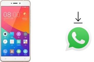 How to install WhatsApp in a Gionee S5