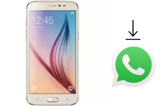 How to install WhatsApp in a GMango MS6 Plus