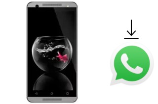 How to install WhatsApp in a GoMobile GO504