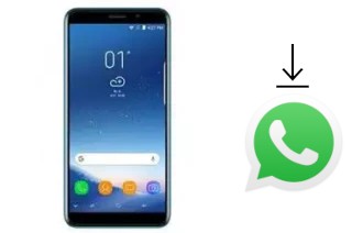 How to install WhatsApp in a Gooweel S10