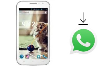 How to install WhatsApp in a GPhone Bold