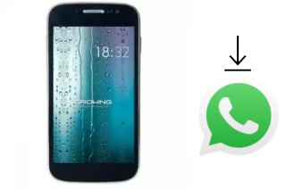 How to install WhatsApp in a Growing GMD4312