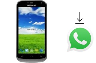 How to install WhatsApp in a Growing Z4 Plus