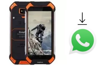 How to install WhatsApp in a Guophone V19