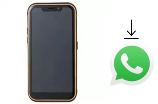 How to install WhatsApp in a Guophone X3