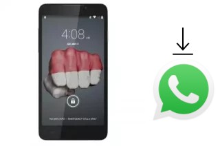 How to install WhatsApp in a Himax Polymer