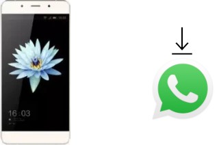 How to install WhatsApp in a HiSense C1