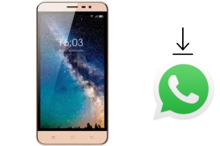 How to install WhatsApp in a HiSense F23