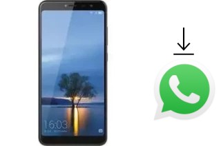 How to install WhatsApp in a HiSense Infinity H11 Lite