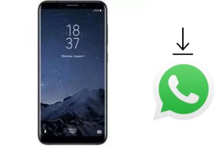 How to install WhatsApp in a HomTom R17