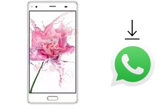 How to install WhatsApp in a Hotwav Cosmos V19